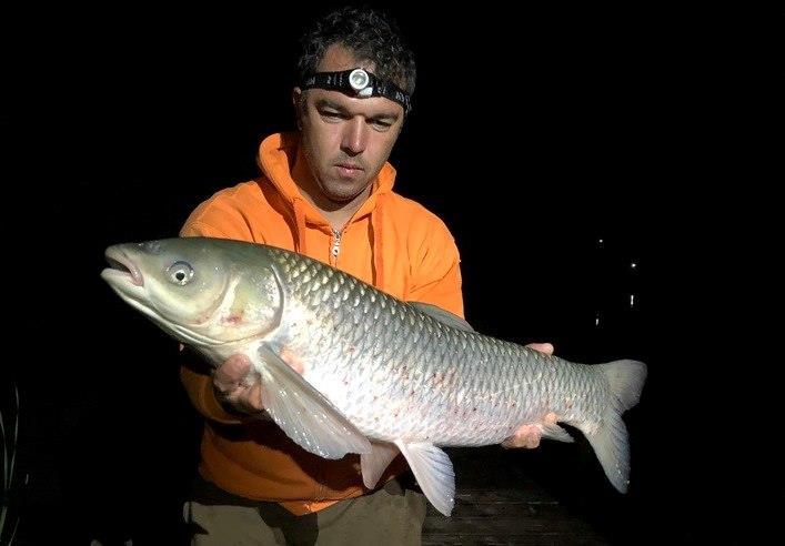 Bila 2 Cupa Arrow 11-13 oct - 3.jpg